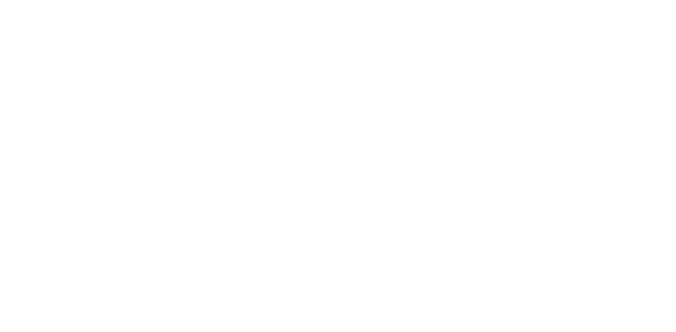 平田 りさ
